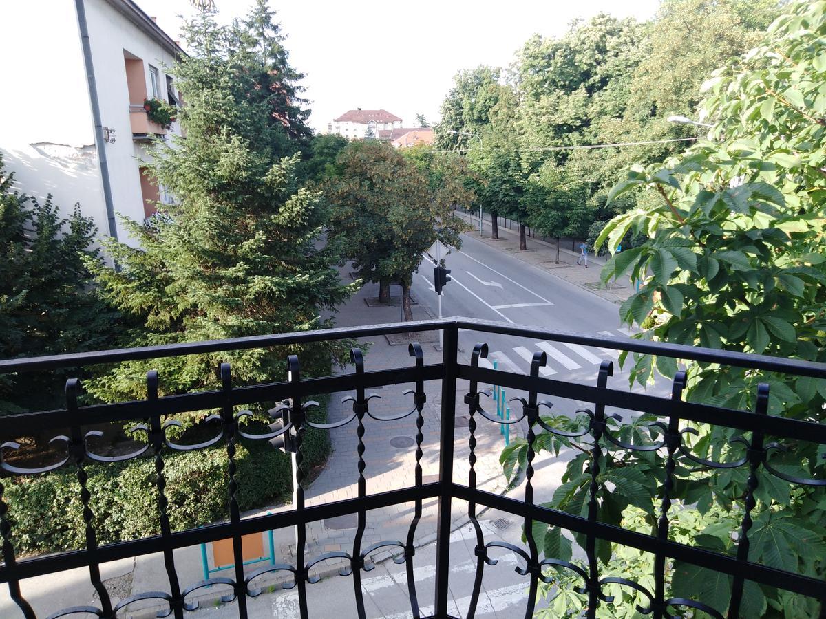 Veliki Park Villa Šabac Eksteriør billede
