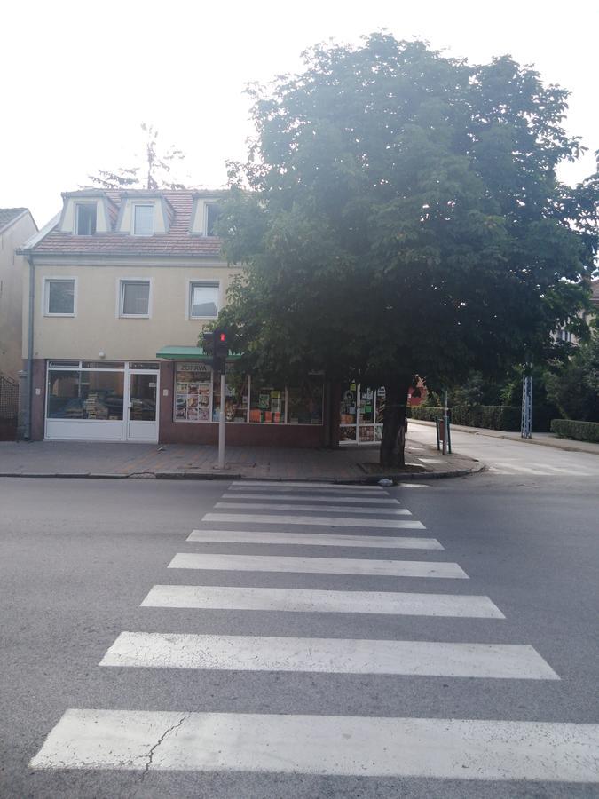 Veliki Park Villa Šabac Eksteriør billede