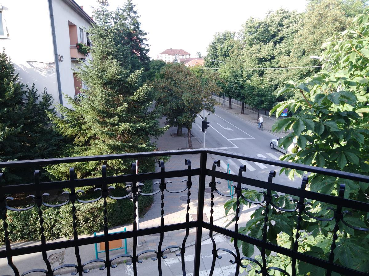 Veliki Park Villa Šabac Eksteriør billede
