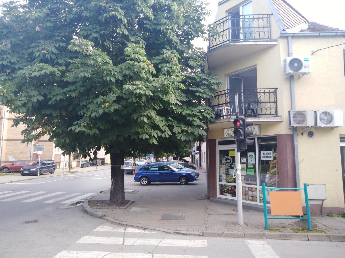 Veliki Park Villa Šabac Eksteriør billede